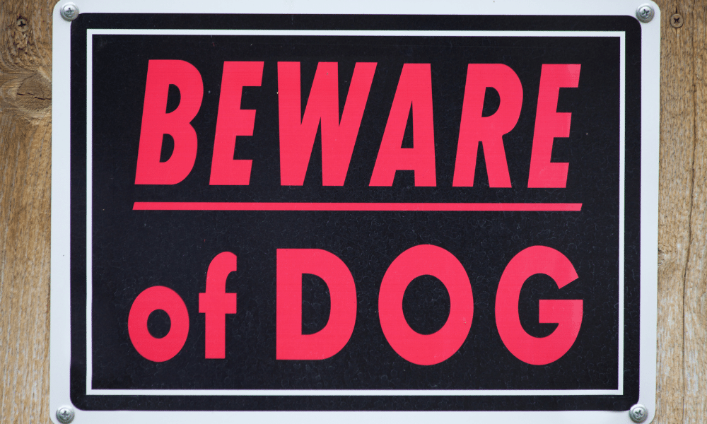 beware of dog sign